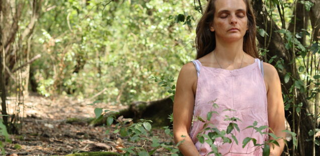Curso de meditação - Junho e Julho 2026 (presencial ou online)